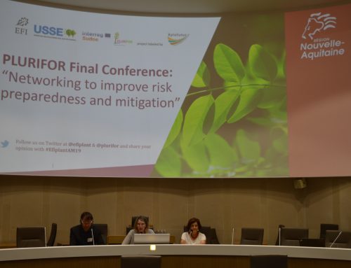 PLURIFOR project comes to an end with an innovative and unprecedented transnational collaboration on forest risks management